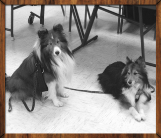 D'Artagnan and Aramis Watch Auditions