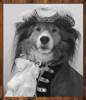 D'Artagnan in his Pirate Captain costume