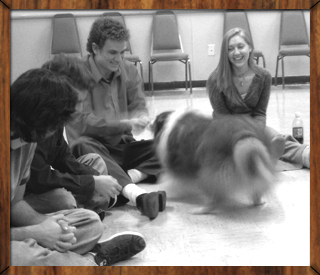 Playing with D'Artagnan