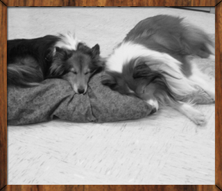 Rehearsing is Hard Work.